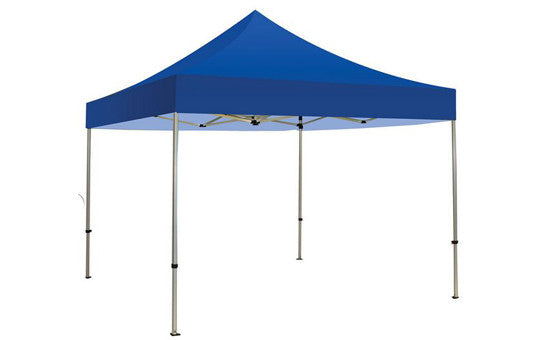 Blue Blank 10 x 10 Foot Canopy Tent and Frame Combo
