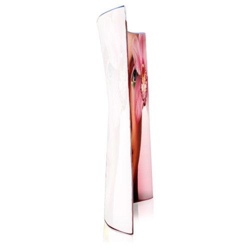 EZ Tube Display 20 Foot Curved Single Sided Graphics Only